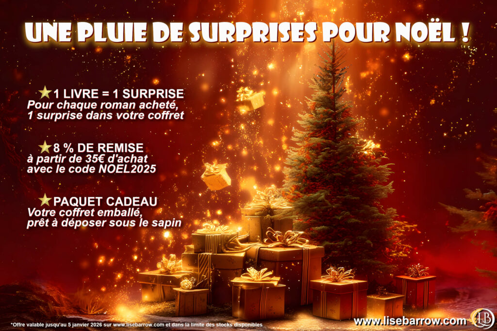 Offres de Noël, avec surprises, remise et paquet cadeau